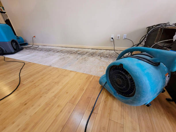 Professional Basement Flood Cleanup technician working in Fort Garland, CO